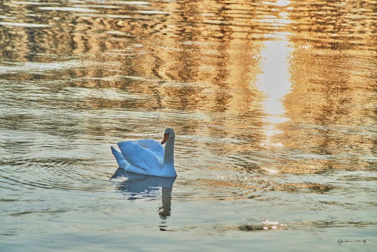 Apartman Ana Bečej Buitenkant foto